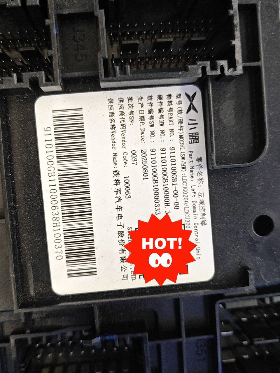 XPeng Left and Right Domain Controller, OEM