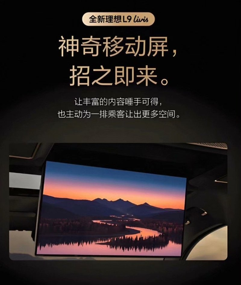 Ideal L9Livis Flip Screen, Ideal L9Livis Rear Flip Screen
