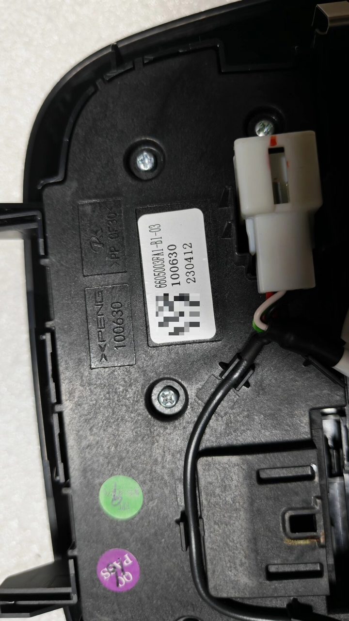 XPeng G6 Dome Light Assembly, OEM, Part Number 6605001FC1