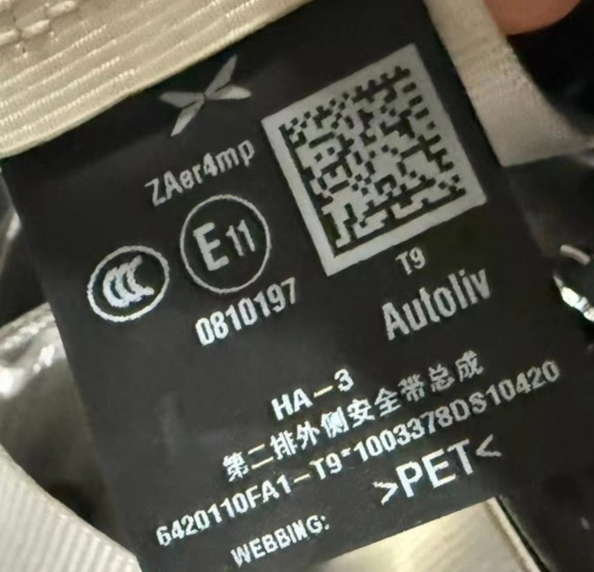 Xpeng G6, seat belts, both front and rear