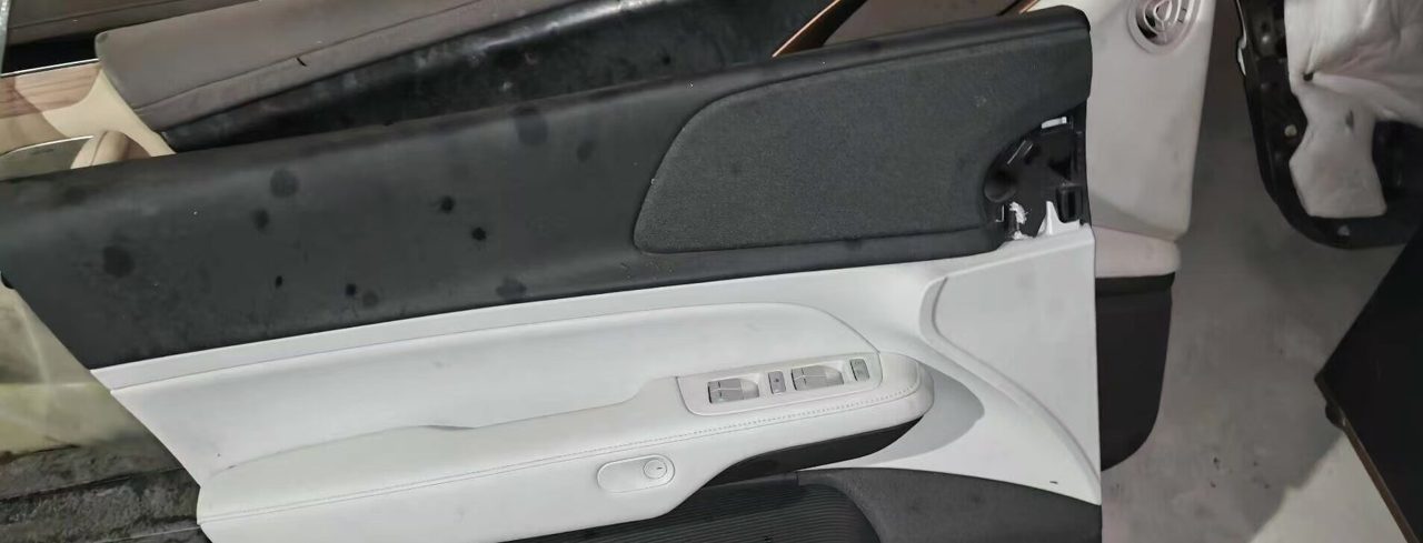 XPeng G6 Door Interior Trim Panel, Genuine OEM Used Part, with Switch and Speaker, All Connectors Included