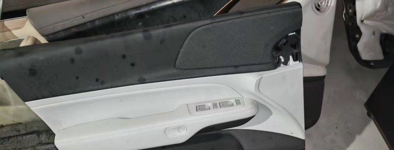 XPeng G6 Door Interior Trim Panel, Genuine OEM Used Part, with Switch and Speaker, All Connectors Included