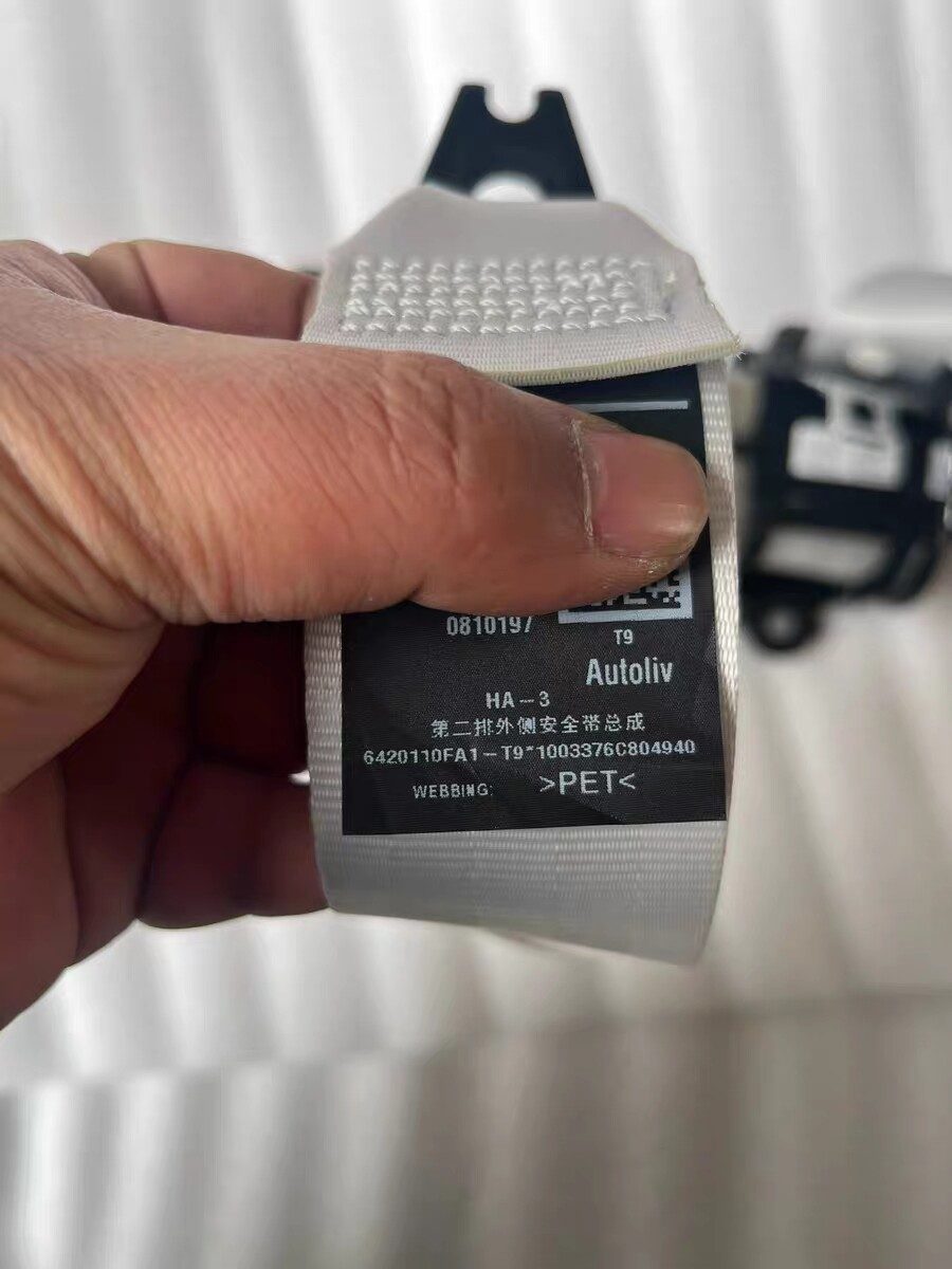 XPeng G6 Seat Belt, XPeng G6 Rear Row Seat Belt, XPeng G6 Parts