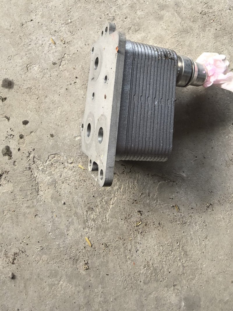 XPeng x9 Radiator, Genuine OEM Used Part, Fully Functional, All Connectors Included 。